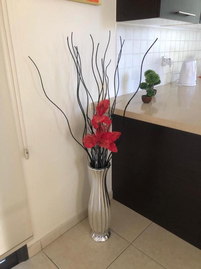 Villa Kot פיילה מראה חיצוני תמונה